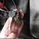 3B7KF23601G717756 2001 Dodge Ram 2500 St auction photo thumbnail 11