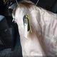 7FARS4H49RE012943 2024 Honda Cr-V Ex Awd auction photo thumbnail 11