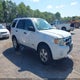 1FMCU93Z18KA10032 2008 Ford Escape Xlt auction photo thumbnail 1