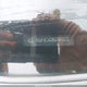 KNDPBCAC8G7869272 2016 Kia Sportage Lx auction photo thumbnail 9