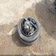 JM1BL1TG5D1720442 2013 Mazda Mazda3 I Sv auction photo thumbnail 12
