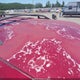 1GNDT13W9XK122778 1999 Chevrolet Blazer Ls auction photo thumbnail 12