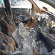 5TDBZRFH8KS955063 2019 Toyota Highlander Le auction photo thumbnail 5