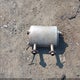 JN1AZ4FH9CM370264 2012 Nissan 370Z Touring auction photo thumbnail 12
