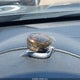 1N4AL3APXHN345808 2017 Nissan Altima 2.5 S auction photo thumbnail 11