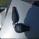 1D4RD4GG8BC634117 2011 Dodge Durango Crew auction photo thumbnail 11