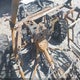 3NSN4E998MF136987 2021 Polaris Rzr Xp 4 1000 auction photo thumbnail 7