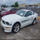 1ZVHT82H585175903 2008 Ford Mustang Gt Deluxe/Gt Premium auction photo thumbnail 2