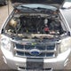 1FMCU9D76CKA78378 2012 Ford Escape Xlt auction photo thumbnail 10