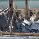 1FMZU77K85UB93425 2005 Ford Explorer Sport Trac auction photo thumbnail 8