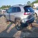 1C4PJMBX0KD315325 2019 Jeep Cherokee Trailhawk Elite 4X4 auction photo thumbnail 3