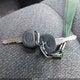 1GCEC14X65Z178752 2005 Chevrolet Silverado 1500 Work Truck auction photo thumbnail 11