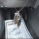 KL79MSSL6RB053525 2024 Chevrolet Trailblazer Awd Activ auction photo thumbnail 11