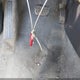 JTEHD20V146016947 2004 Toyota Rav4 auction photo thumbnail 11