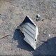5FNYF48569B039103 2009 Honda Pilot Ex-L auction photo thumbnail 12