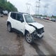 ZACNJDD12NPN61165 2022 Jeep Renegade Limited 4X4 auction photo thumbnail 1