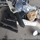 5XXG34J25PG182932 2023 Kia K5 Ex auction photo thumbnail 12