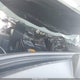 3KPFW4DEXSE034317 2025 Kia K4 Gt-Line auction photo thumbnail 10