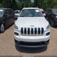 1C4PJLCB9EW232868 2014 Jeep Cherokee Latitude auction photo thumbnail 12