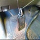 3GCPWBEK2LG368666 2020 Chevrolet Silverado 1500 2Wd Short Bed Custom auction photo thumbnail 11