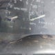 1GCGC29K3SE260047 1995 Chevrolet Gmt-400 C2500 auction photo thumbnail 7