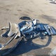 JTND4MBE7M3118374 2021 Toyota Corolla Se auction photo thumbnail 12