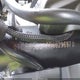 LCEPESLA7R6029697 2024 Cf Moto 450Ss auction photo thumbnail 10