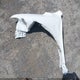 5N1AT2MV4GC769151 2016 Nissan Rogue Sv auction photo thumbnail 12