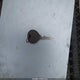 2C3JA53G95H508451 2005 Chrysler 300 Touring auction photo thumbnail 11