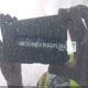 NMTKHMBX9KR095384 2019 Toyota C-Hr Le auction photo thumbnail 17