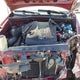 5TEKU72N06Z315338 2006 Toyota Tacoma Prerunner V6 auction photo thumbnail 10