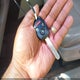 5FNYF4H55DB071226 2013 Honda Pilot Ex-L auction photo thumbnail 11