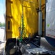 1FUJA6CK15LU27543 2005 Freightliner Conventional Columbia auction photo thumbnail 14