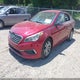 5NPE24AF0GH392100 2016 Hyundai Sonata auction photo thumbnail 2