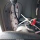 1FMYU60E53UA46809 2003 Ford Explorer Sport Xls/Xlt auction photo thumbnail 11
