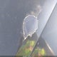 3FAHP07149R141458 2009 Ford Fusion Se auction photo thumbnail 6