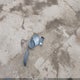 ML32AUHJ6MH003831 2021 Mitsubishi Mirage Carbonite Edition/Es/Le auction photo thumbnail 12