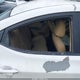 5NPDH4AE9CH098996 2012 Hyundai Elantra Limited auction photo thumbnail 14