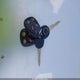 1G8JD54R94Y501601 2004 Saturn L300 2 auction photo thumbnail 11