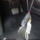 3FA6P0G79GR215157 2016 Ford Fusion S auction photo thumbnail 11