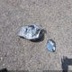 2C4RDGBG2JR170253 2018 Dodge Grand Caravan Se auction photo thumbnail 11