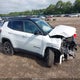 3C4NJDCN1RT159871 2024 Jeep Compass Limited 4X4 auction photo thumbnail 12