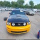 1ZVFT82HX75198731 2007 Ford Mustang Gt Deluxe/Gt Premium auction photo thumbnail 12