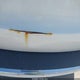 2C4RDGCG0JR298201 2018 Dodge Grand Caravan Sxt auction photo thumbnail 6