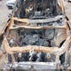 5FNYF6H03HB097264 2017 Honda Pilot Elite auction photo thumbnail 10