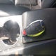WDDGF56X68F045828 2008 Mercedes-Benz C 350 Sport auction photo thumbnail 11