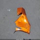 3N1AB8DV5PY232549 2023 Nissan Sentra Sr Xtronic Cvt auction photo thumbnail 12