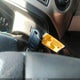 1FMJU1JT5HEA02098 2017 Ford Expedition Xlt auction photo thumbnail 11