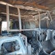 1FTNS2EL6DDA33663 2013 Ford E-250 Commercial auction photo thumbnail 8