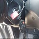 1FMCU9GX0EUE12195 2014 Ford Escape Se auction photo thumbnail 11